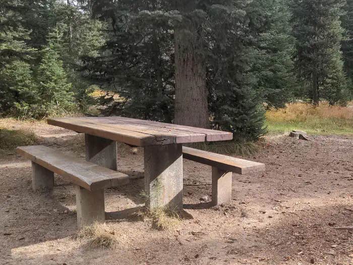 Camper submitted image from Jeanette Campground - 1