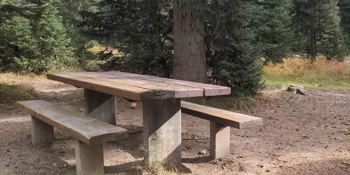 Camper submitted image from Jeanette Campground