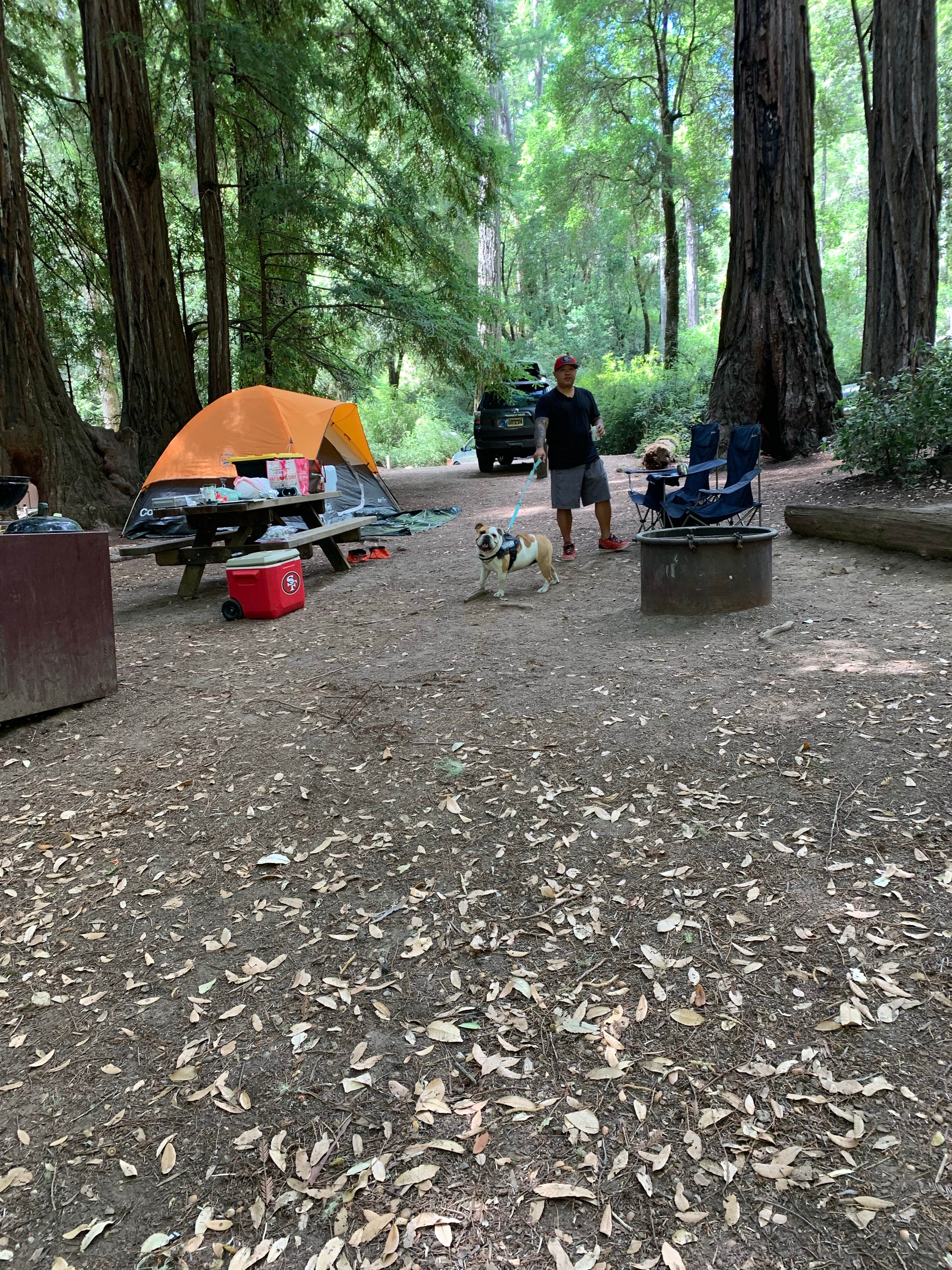 Cristina A.'s photo of camping with pets at Lower Blooms Creek — Big Basin Redwoods State Park — CAMPGROUND CLOSED near Belmont, CA