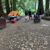 Review photo of Lower Blooms Creek — Big Basin Redwoods State Park — CAMPGROUND CLOSED by Cristina A., August 11, 2019