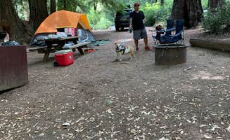 Cristina A.'s photo of camping with pets at Lower Blooms Creek — Big Basin Redwoods State Park — CAMPGROUND CLOSED near Belmont, CA