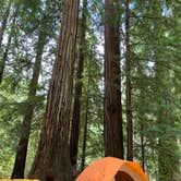 Review photo of Lower Blooms Creek — Big Basin Redwoods State Park — CAMPGROUND CLOSED by Cristina A., August 11, 2019