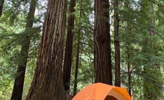 Cristina A.'s photo at Lower Blooms Creek — Big Basin Redwoods State Park — CAMPGROUND CLOSED near Belmont, CA