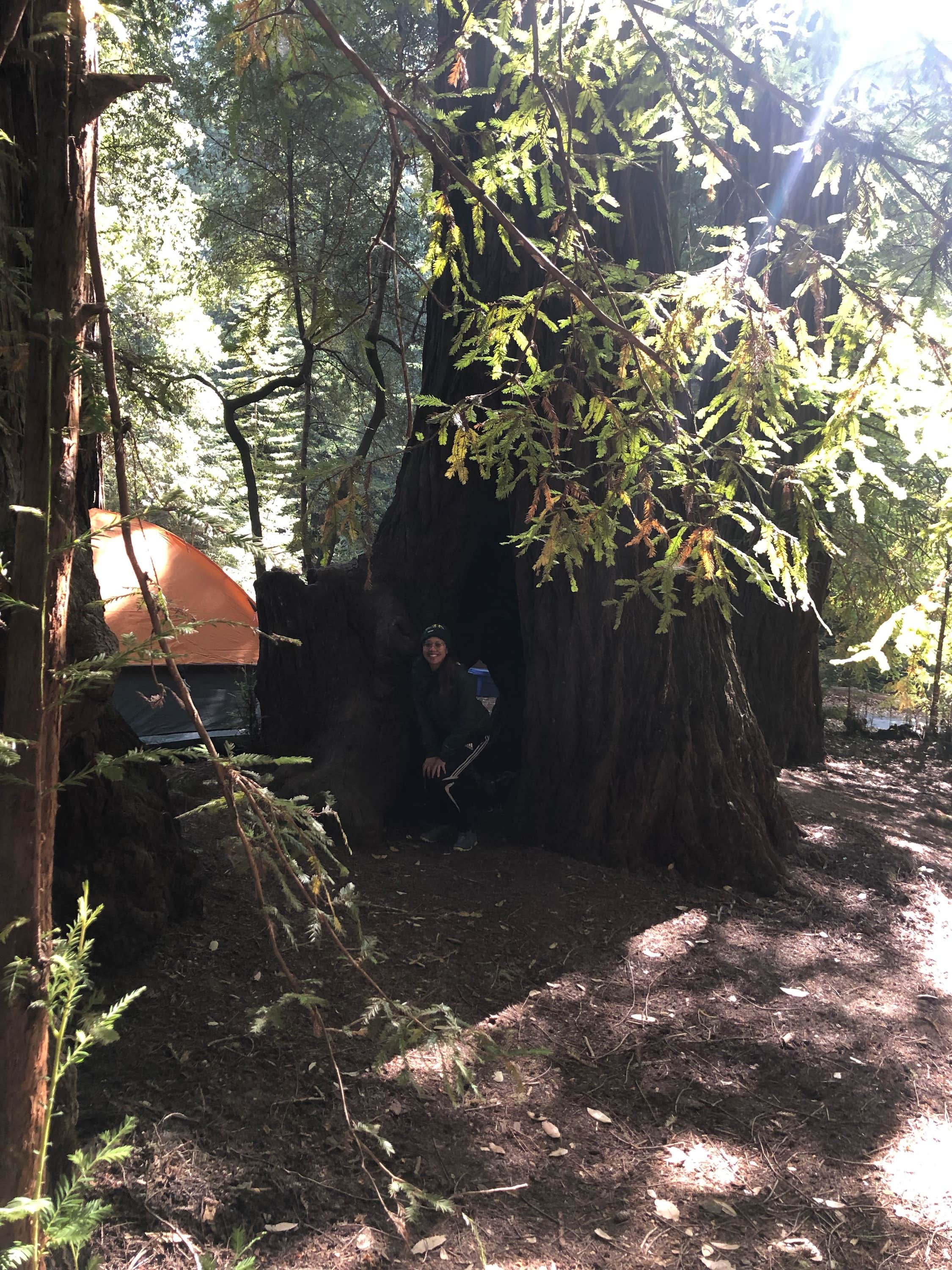 Cristina A.'s photo at Lower Blooms Creek — Big Basin Redwoods State Park — CAMPGROUND CLOSED near Loma Mar, CA