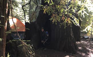 Cristina A.'s photo at Lower Blooms Creek — Big Basin Redwoods State Park — CAMPGROUND CLOSED near Loma Mar, CA