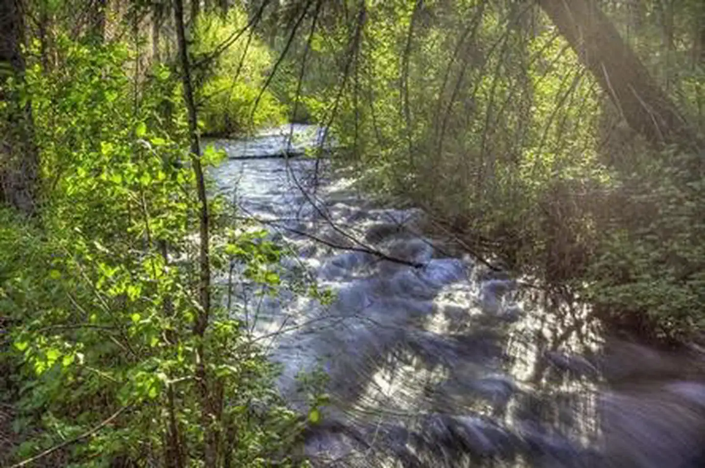 Camper-submitted photo at Candle Creek Campground near Camp Sherman, OR
