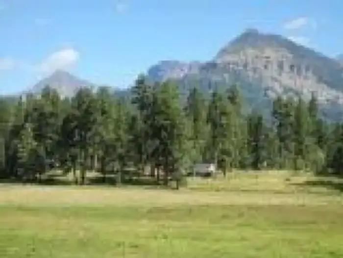 Camping near Bridge Campground - San Juan NF: San Juan National Forest Williams Creek Campground, Pagosa Springs, Colorado