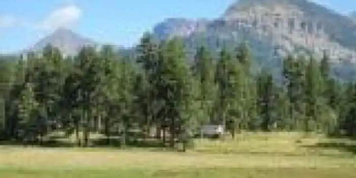 Camper submitted image from San Juan National Forest Williams Creek Campground