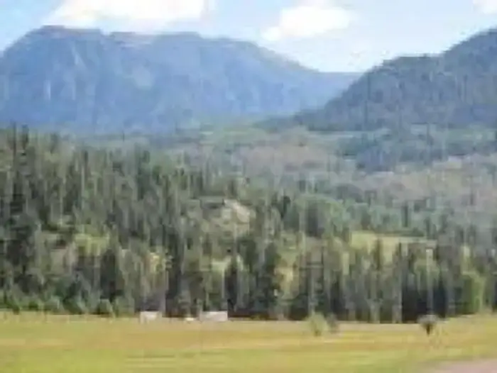 Camper-submitted photo at San Juan National Forest Williams Creek Campground near Pagosa Springs, CO