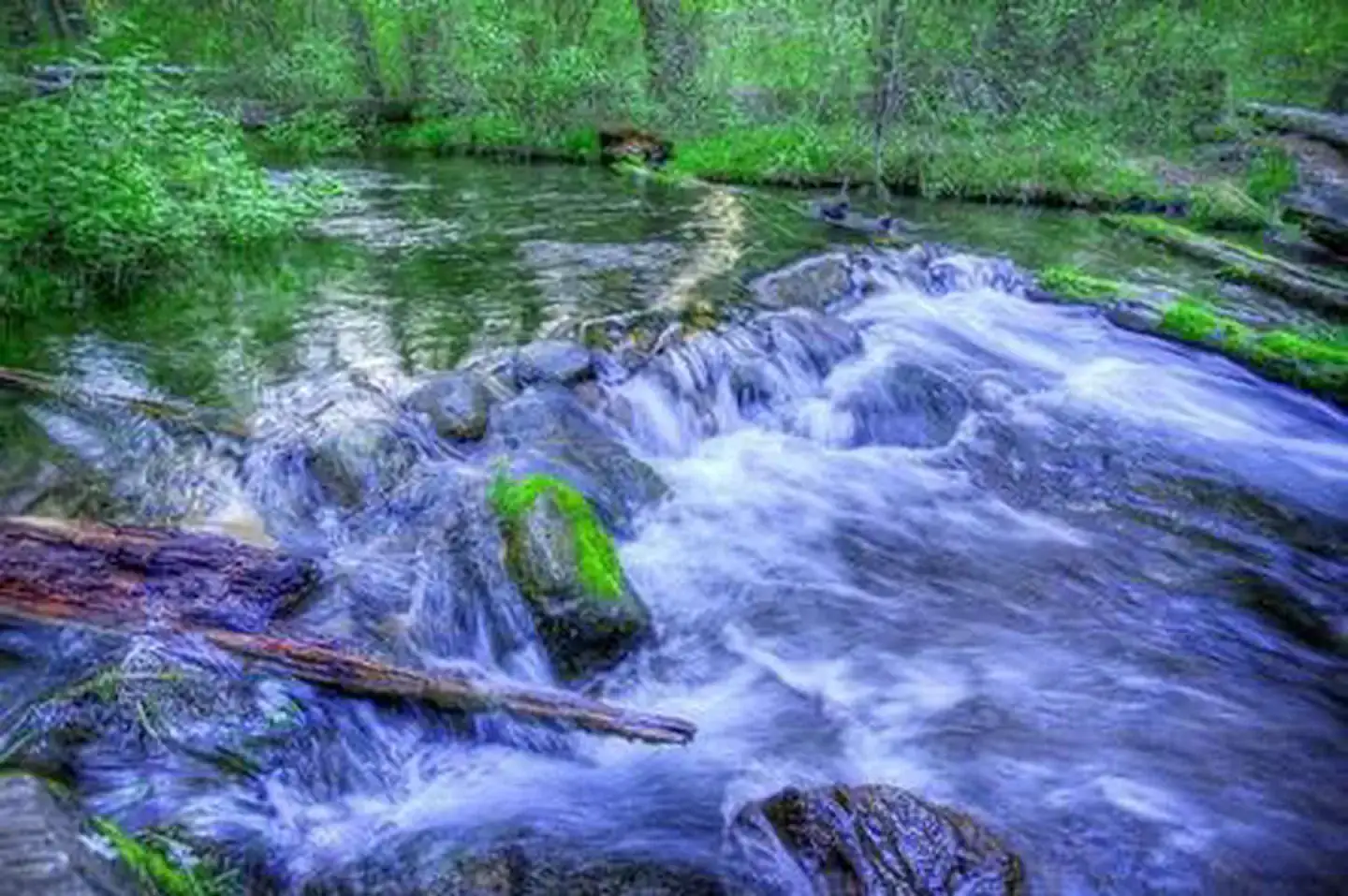 Camper-submitted photo at Candle Creek Campground near Camp Sherman, OR