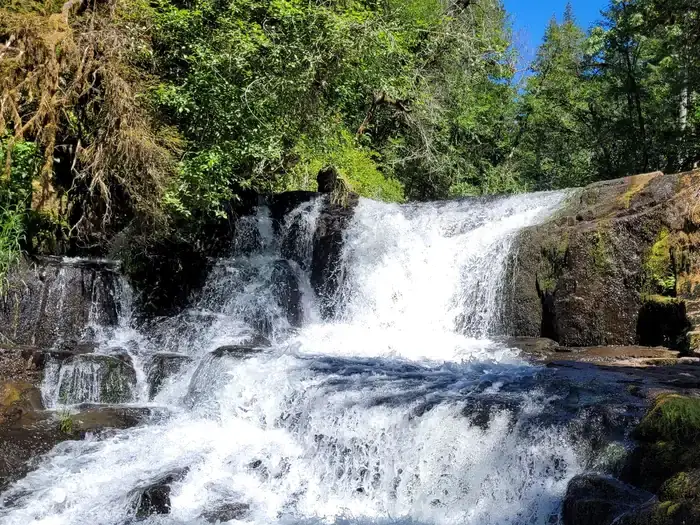 Camper-submitted photo at Alsea Falls Recreation Site (campground) near Blodgett, OR