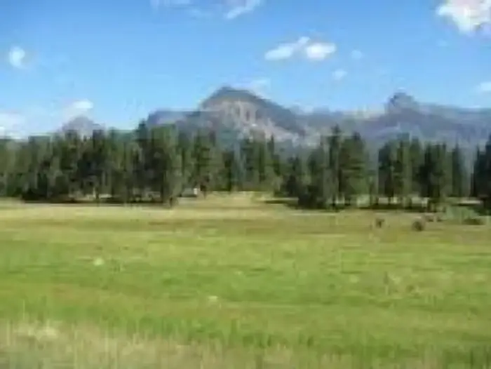 Camper-submitted photo at San Juan National Forest Williams Creek Campground near Pagosa Springs, CO