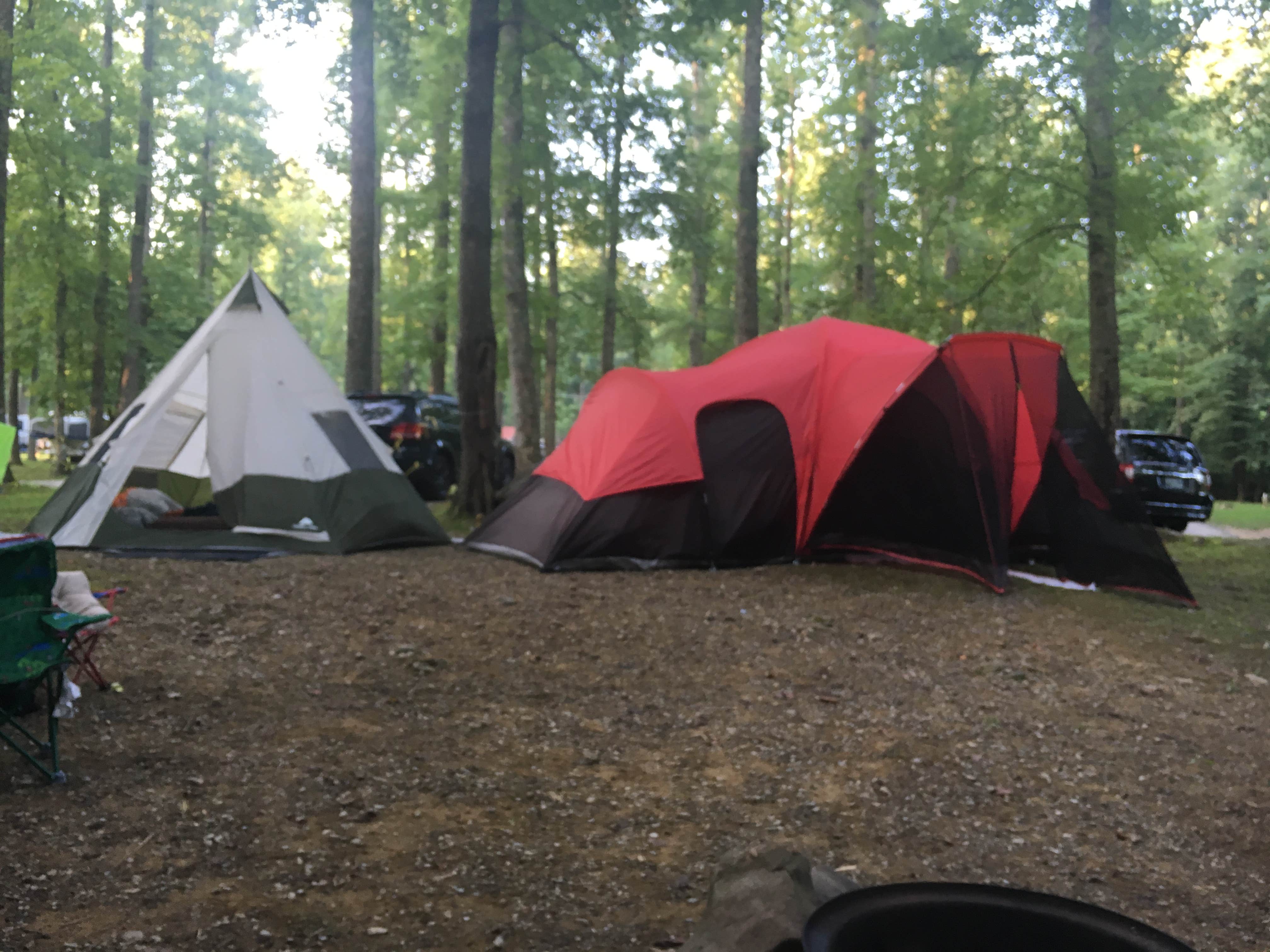 Sharon S.'s photo at Adventure Bound Campground Gatlinburg near Cosby, TN
