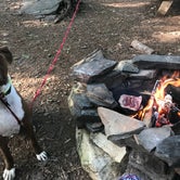 Review photo of Blue Bear Mountain Camp by Nicole L., August 12, 2019
