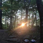 Review photo of Blue Bear Mountain Camp by Nicole L., August 12, 2019