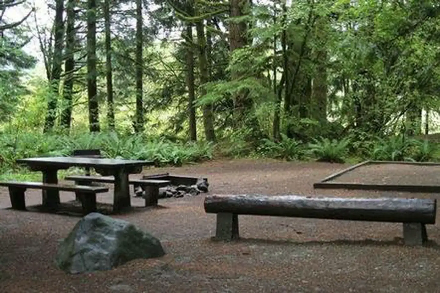 Camper-submitted photo at Panorama Point Campground near Maple Falls, WA