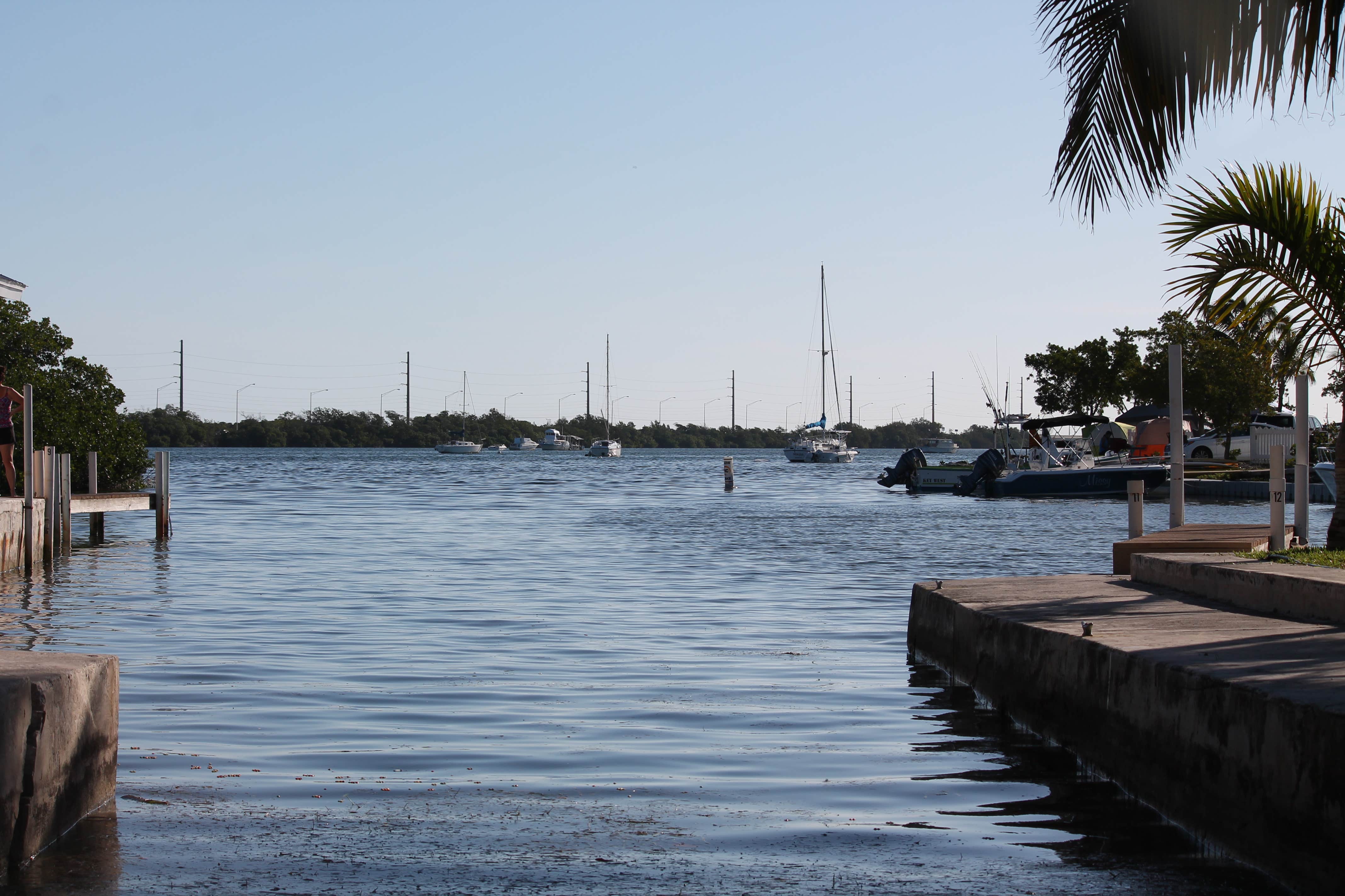 Camper submitted image from Boyd's Key West Campground - 2