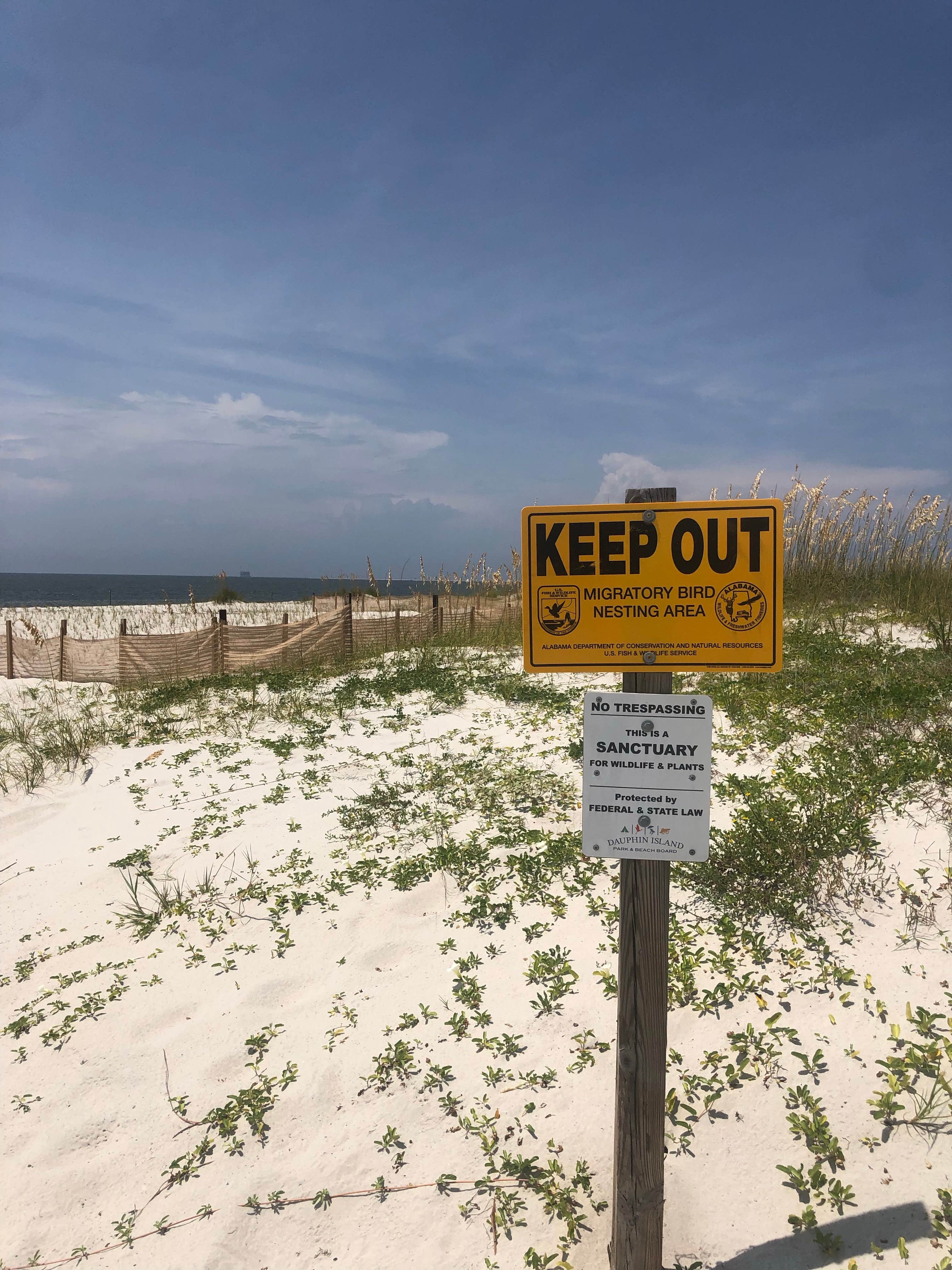 Camper submitted image from Dauphin Island Campground - 5