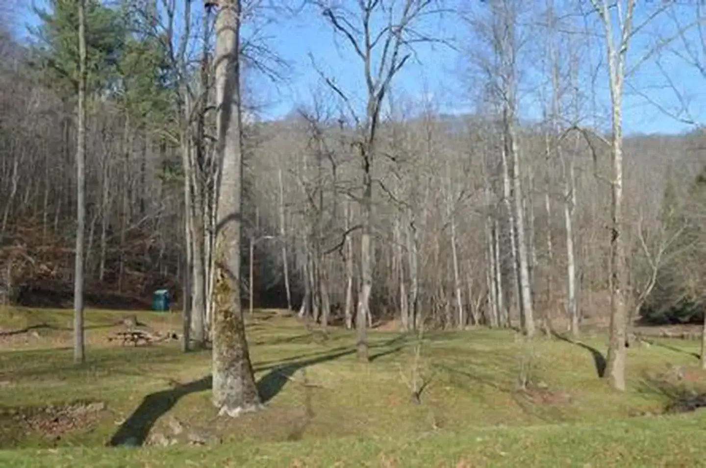 Camper-submitted photo at Pound River Campground (VA) near John W. Flannagan Dam and Reservoir