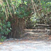 Review photo of Boyd's Key West Campground by Rick B., September 25, 2016