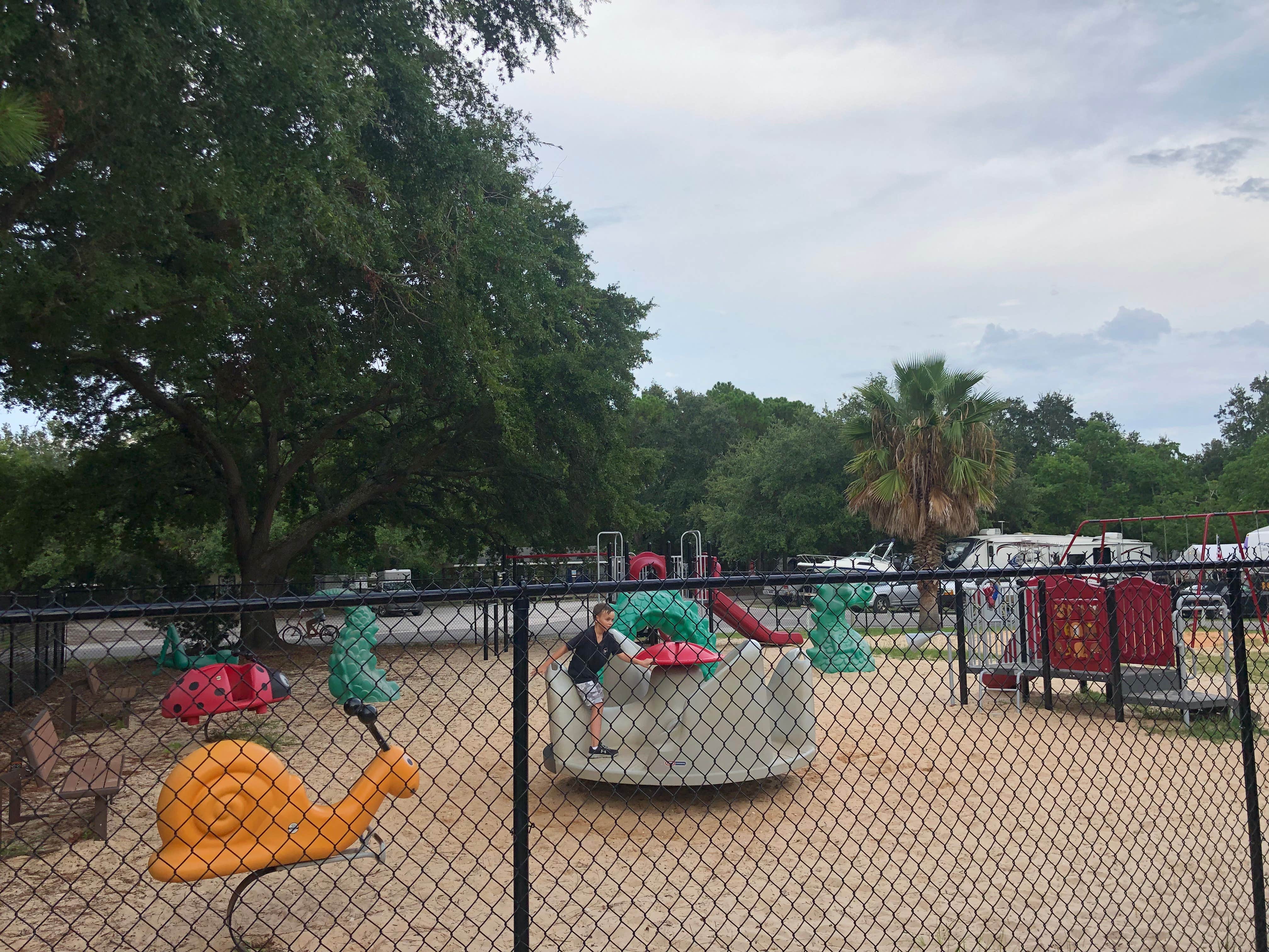 Camper submitted image from Dauphin Island Campground - 4