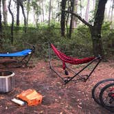 Review photo of Dauphin Island Campground by Lori H., August 12, 2019