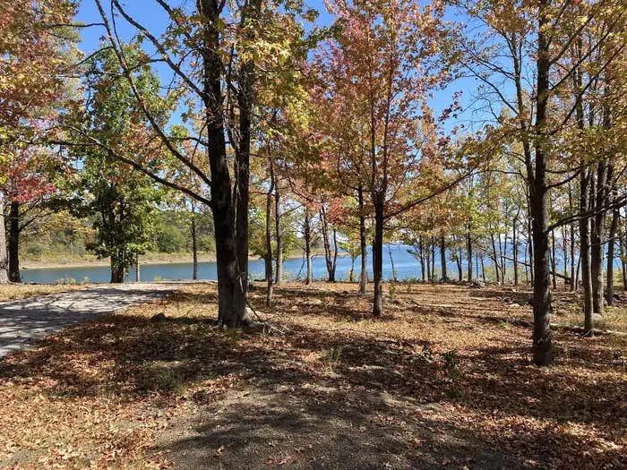 Camper submitted image from Shiloh - Greers Ferry Lake - 1