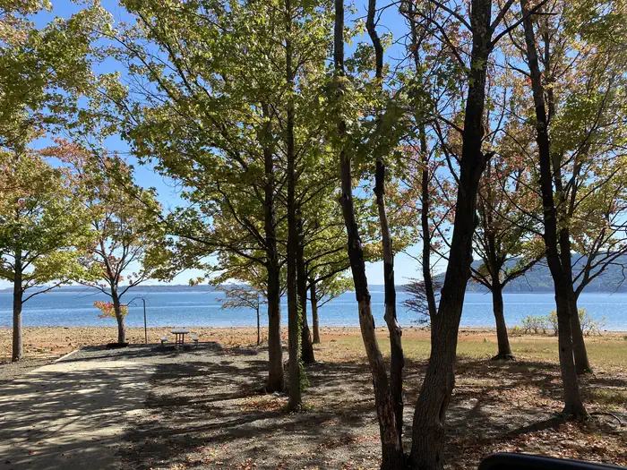 Camper-submitted photo at Shiloh - Greers Ferry Lake near Greers Ferry Lake