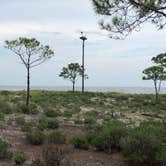 Review photo of Dauphin Island Campground by Lori H., August 12, 2019