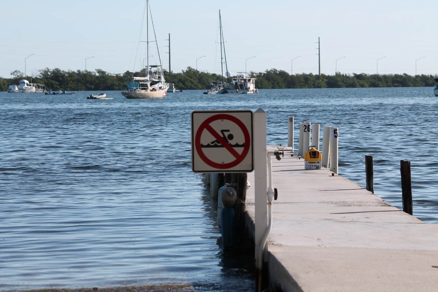 Boyd's Key West Campground | The Dyrt