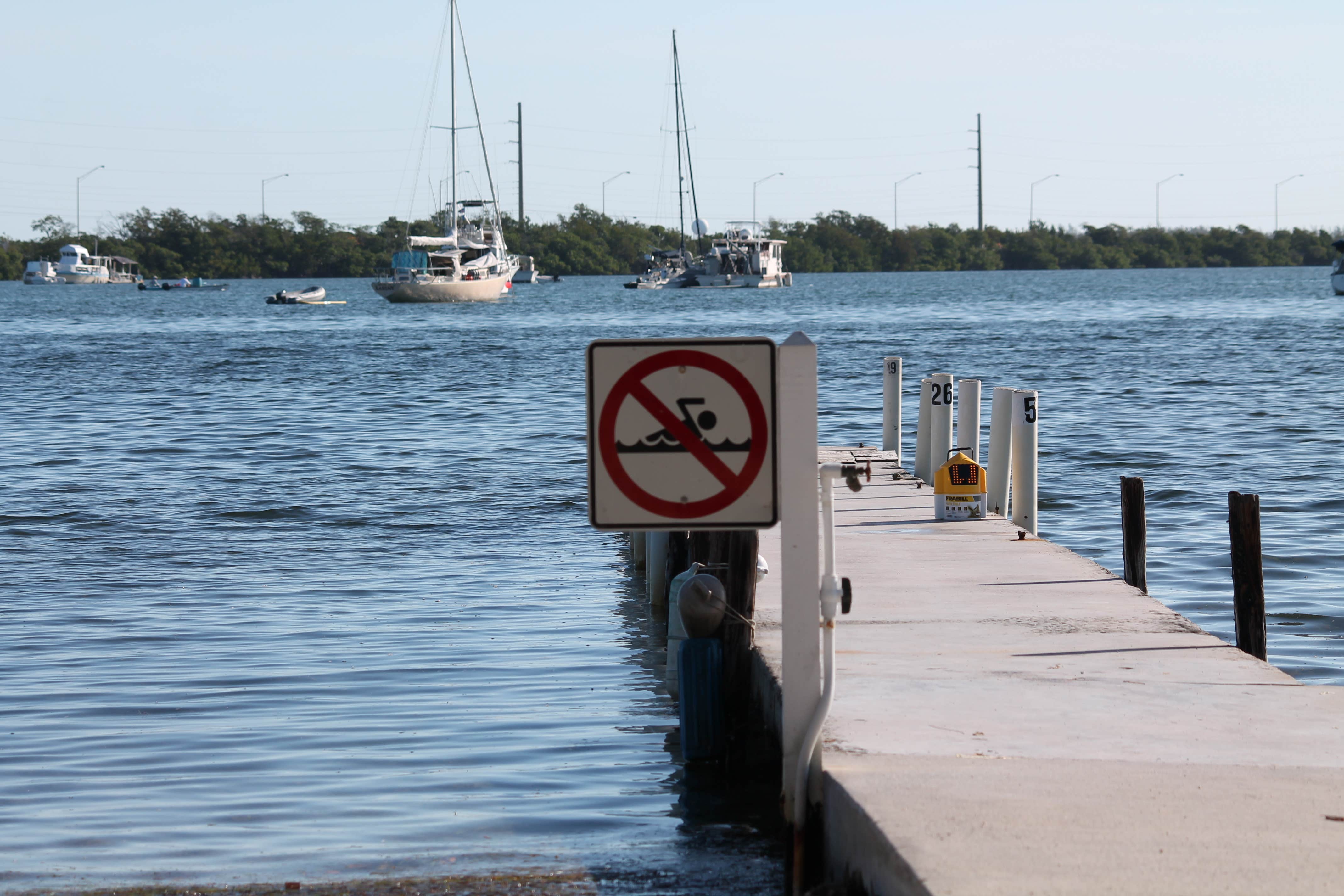 Camper submitted image from Boyd's Key West Campground - 5
