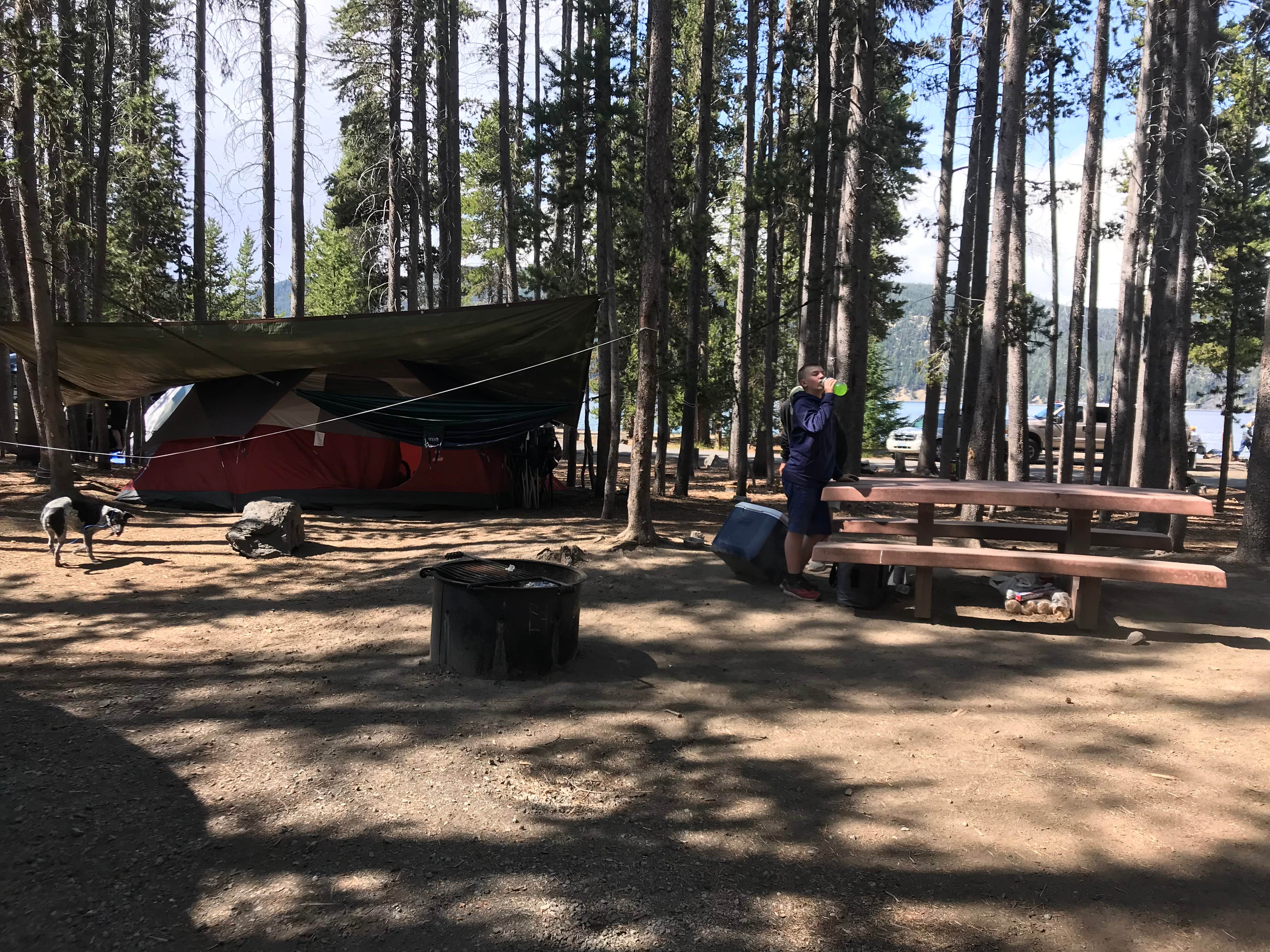 Chrissy T.'s photo at East Lake Campground near La Pine, OR