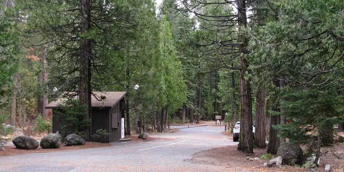 Camper submitted image from Pinecrest Campground