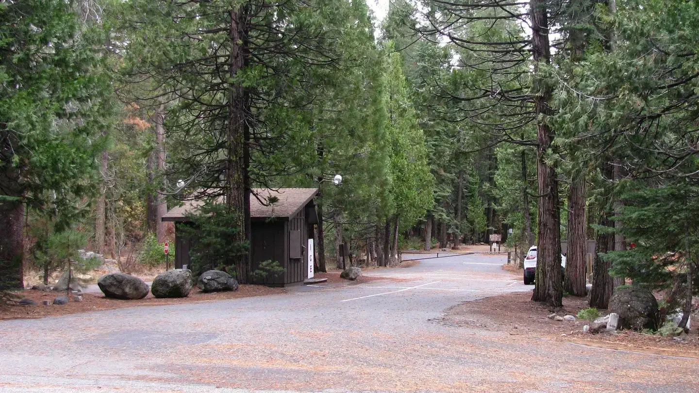 Camper-submitted photo at Pinecrest Campground near Coleville, CA