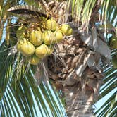 Review photo of Boyd's Key West Campground by Rick B., September 25, 2016