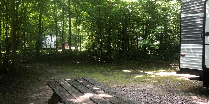 Camper submitted image from Lake Bluff RV Park