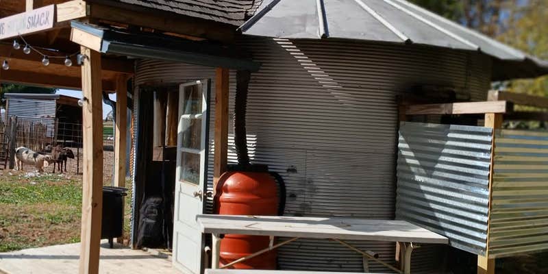 Camper submitted image from Freebird Farm and Homestead