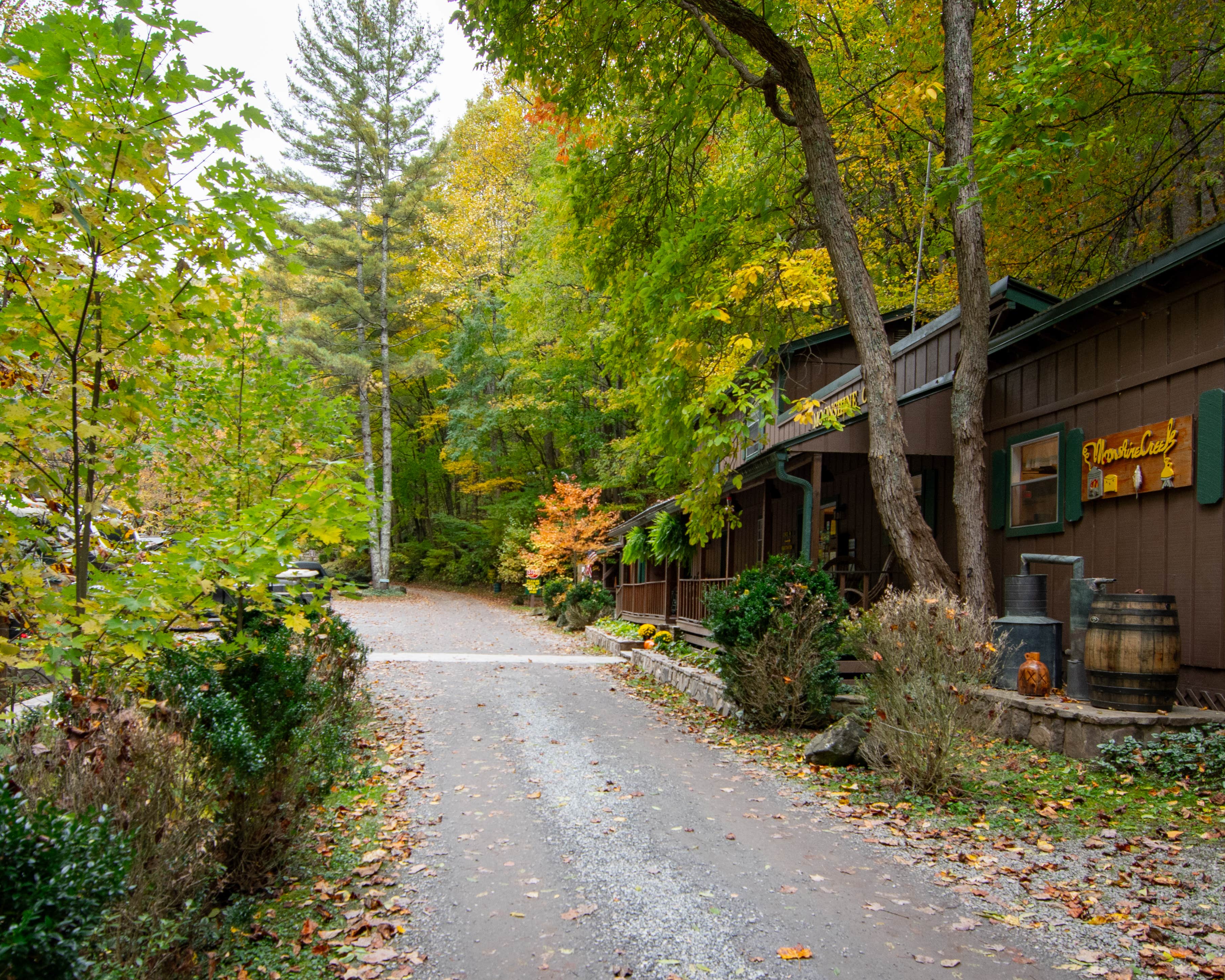 Moonshine Creek Campground