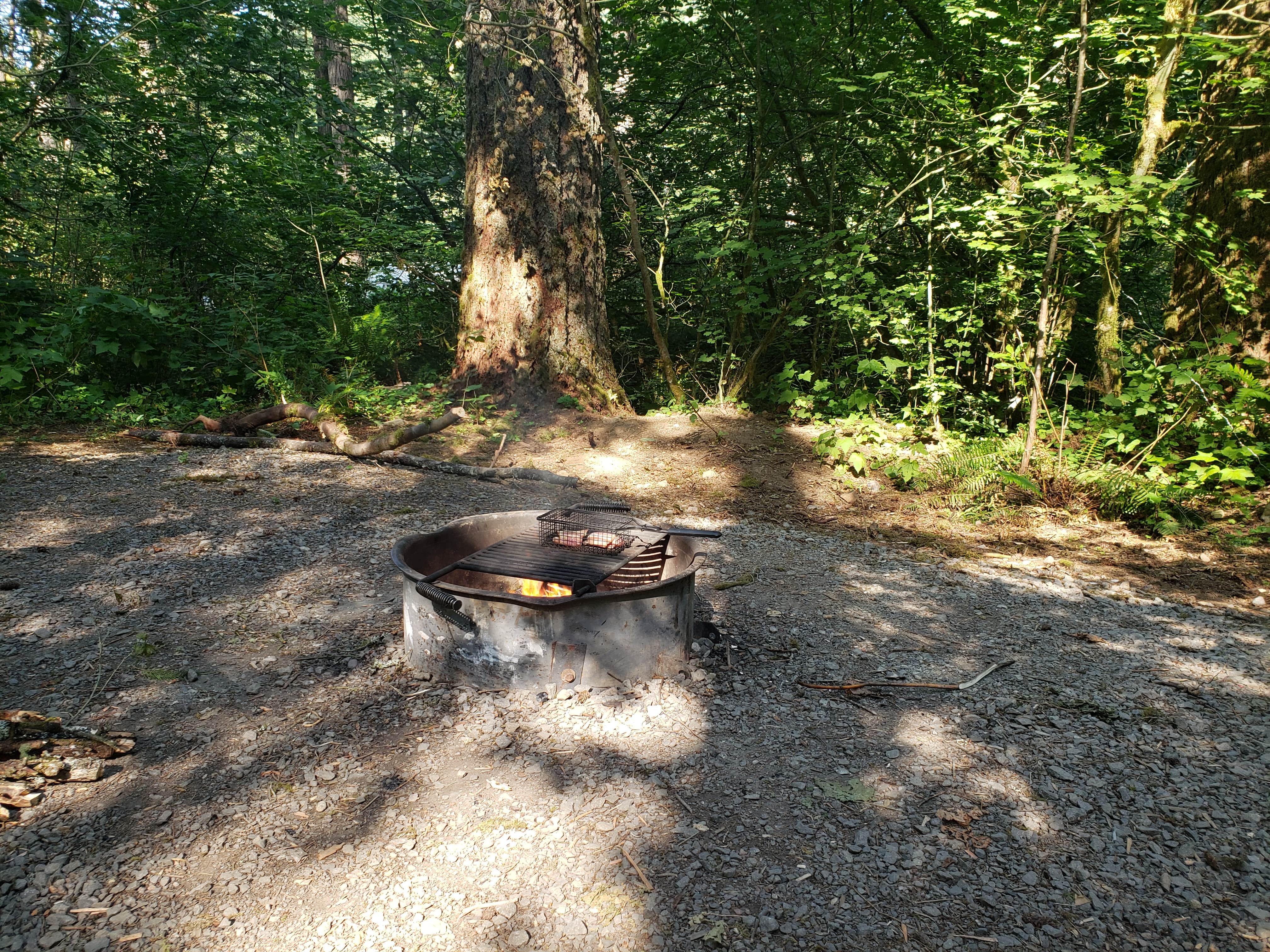 Camper submitted image from Dougan Creek Campground - 4