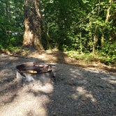 Review photo of Dougan Creek Campground by Sarah J., August 11, 2019