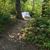 Review photo of Dougan Creek Campground by Sarah J., August 11, 2019