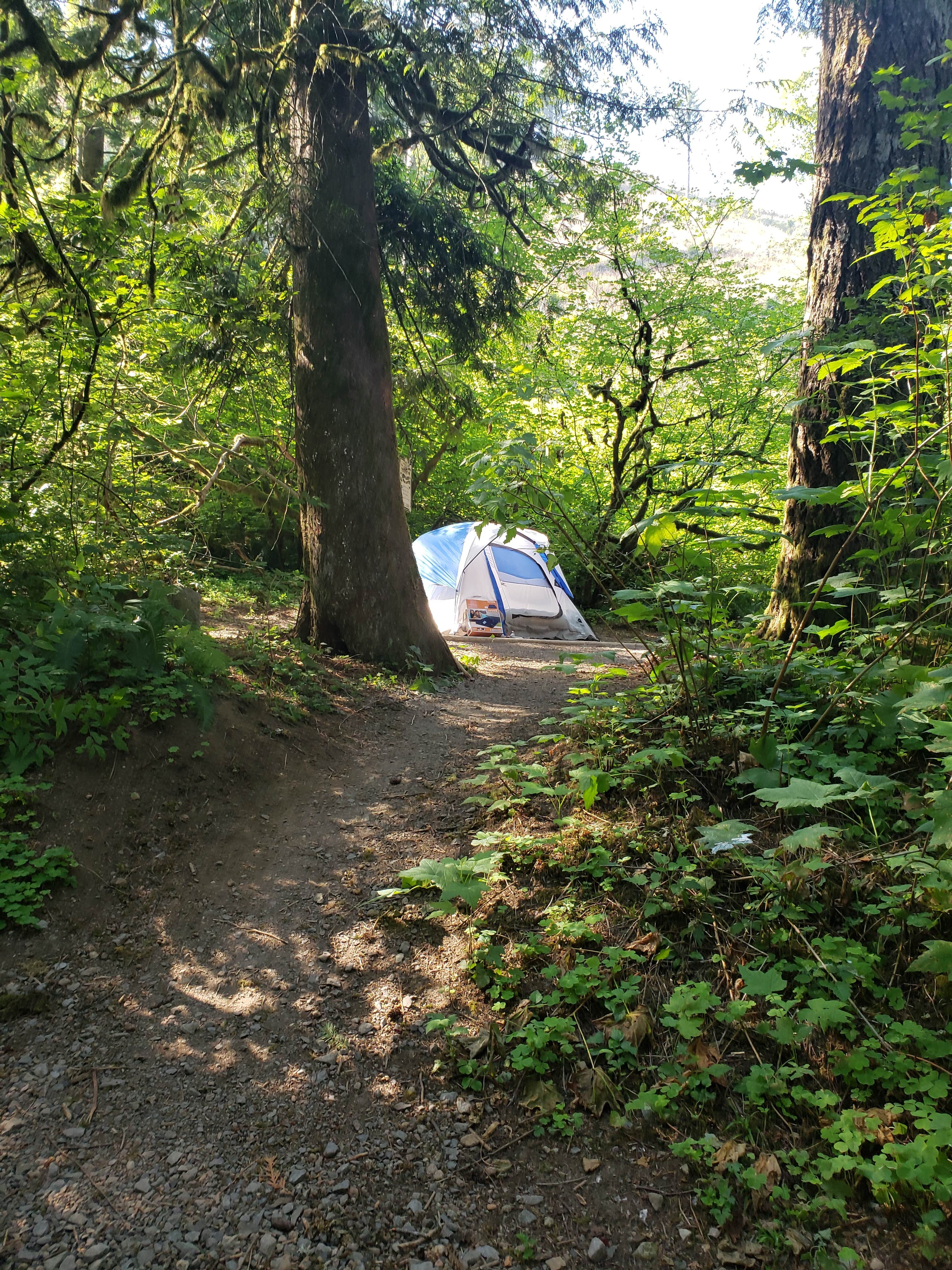 Camper submitted image from Dougan Creek Campground - 2