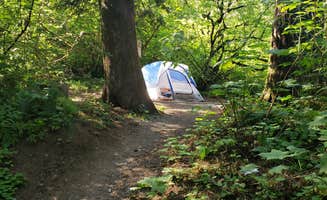 Sarah J.'s photo at Dougan Creek Campground near North Bonneville, WA