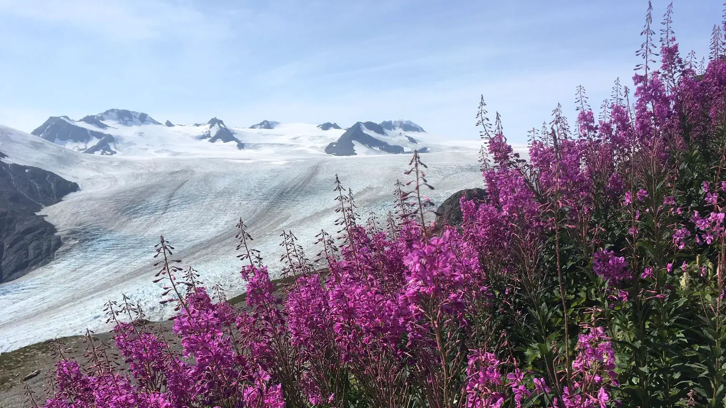 Camper-submitted photo at Kenai Fjords National Park Cabins near Seward, AK