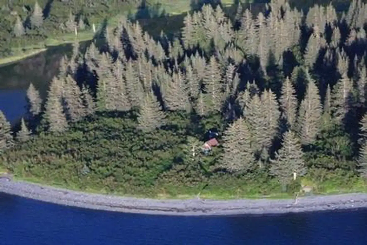 Camper-submitted photo at Kenai Fjords National Park Cabins near Seward, AK