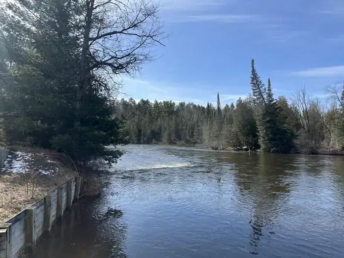 Camper-submitted photo at Au Sable Loop Campground — Huron Manistee National Forests near Mio, MI