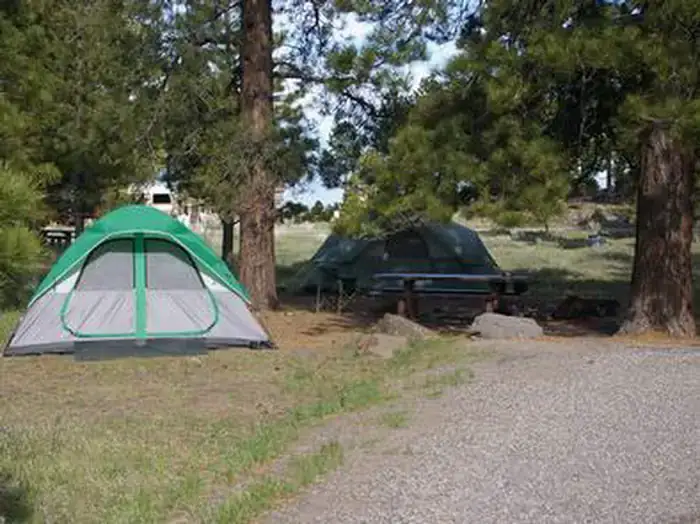 Camper-submitted photo at Singletree near Capitol Reef National Park