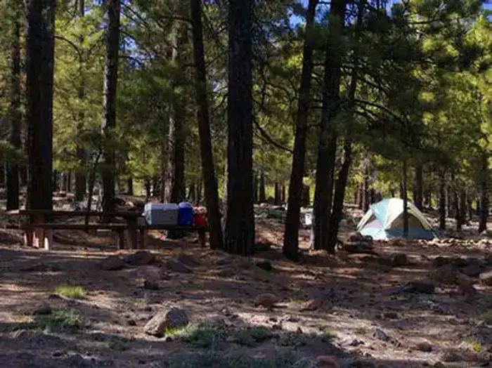 Camper-submitted photo at Singletree near Capitol Reef National Park