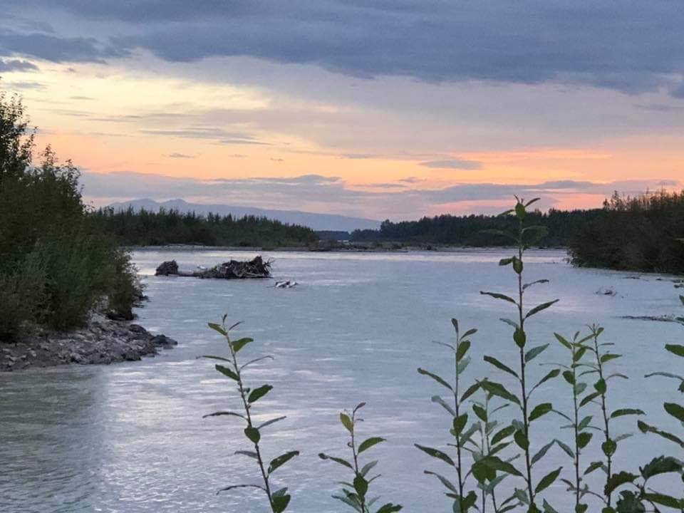 Camper submitted image from Susitna Landing - 3