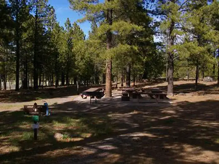 Camper-submitted photo at Singletree near Capitol Reef National Park